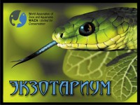 /album/zoostv/ekzotarium-maket-v-pechat-jpg/